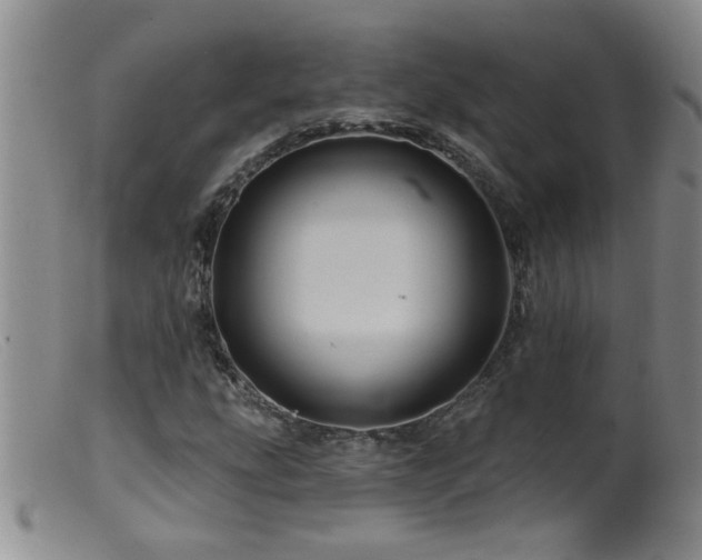 X0000099451207200805161014