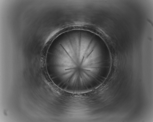 X0000099451208200805161014