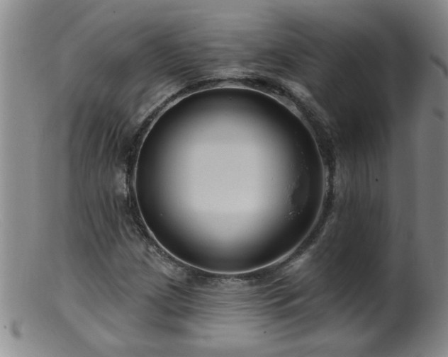 X0000099451209200805161014