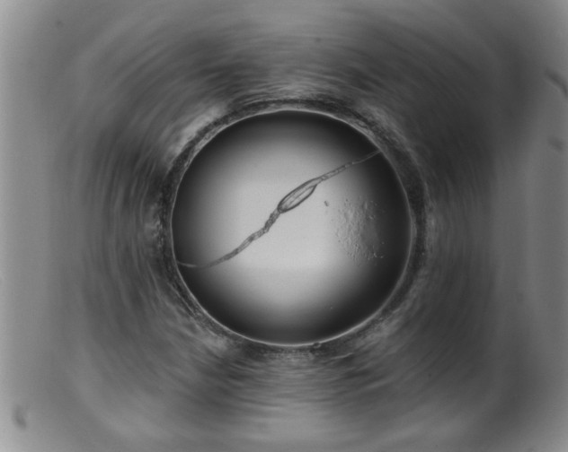 X0000099451210200805161014