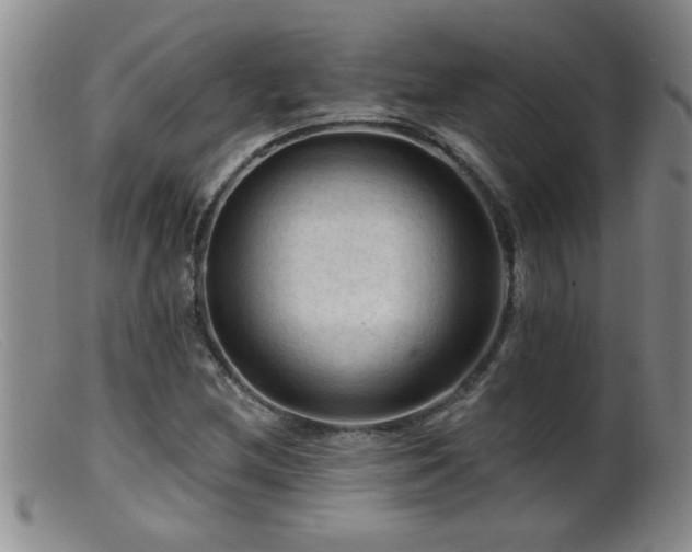 X0000099451212200805161014