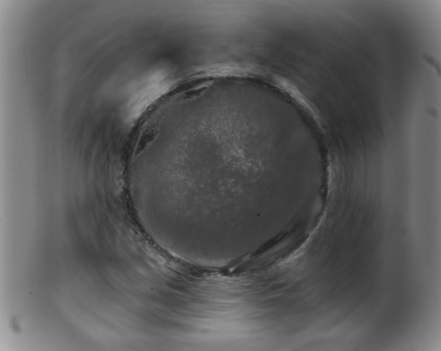 X0000099451213200805161014