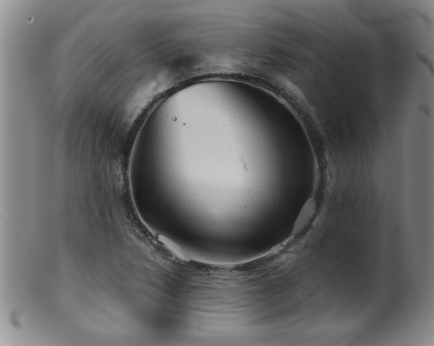 X0000099451218200805161014