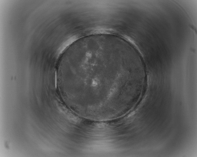 X0000099451219200805161014