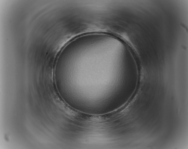 X0000099451220200805161014