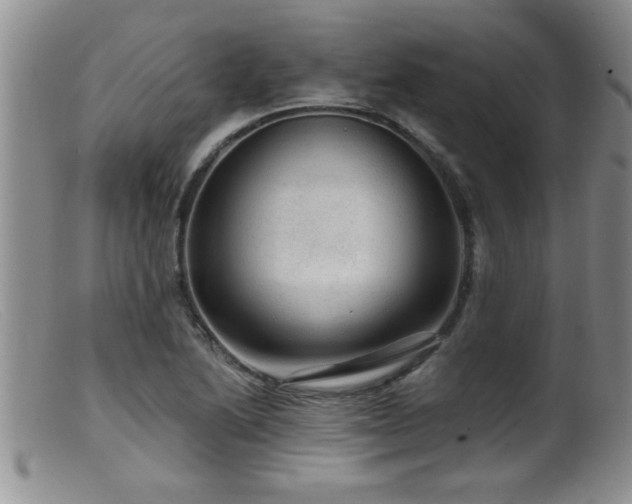 X0000099451222200805161014