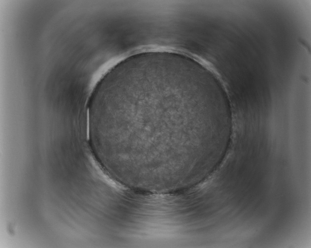 X0000099451223200805161014