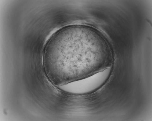 X0000099451224200805161014