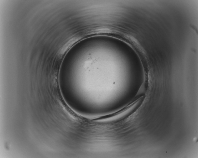 X0000099451225200805161014