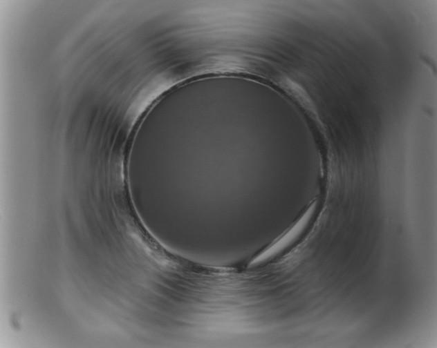 X0000099451226200805161014