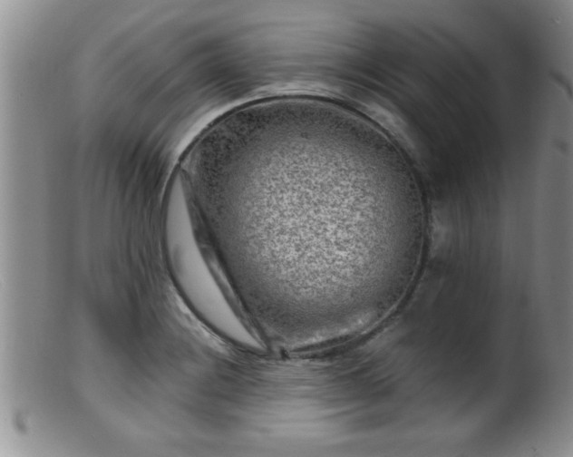 X0000099451228200805161014
