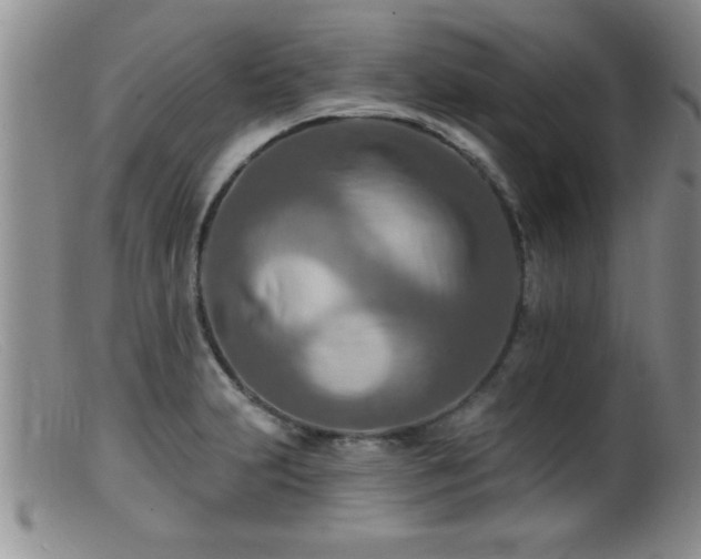 X0000099451231200805161014