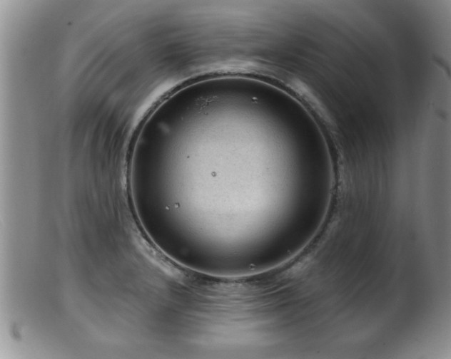 X0000099451232200805161014