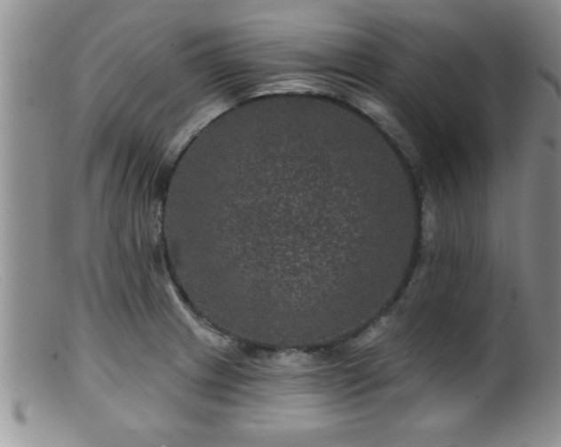 X0000099451233200805161014