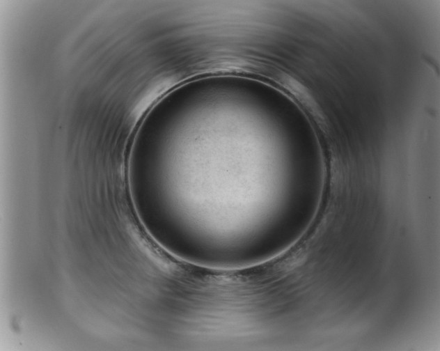 X0000099451234200805161014