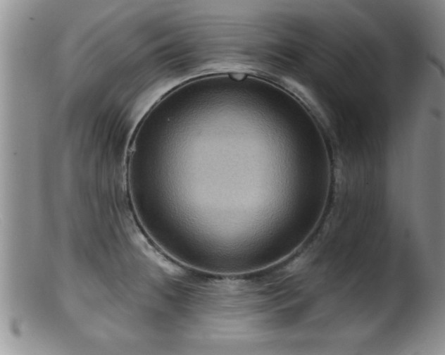 X0000099451236200805161014