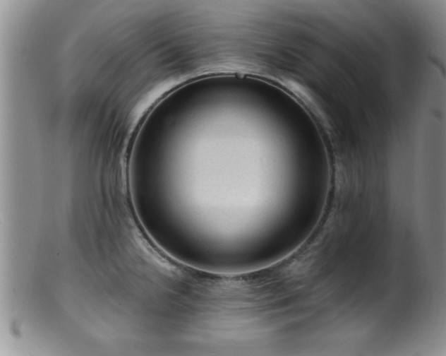 X0000099451238200805161014