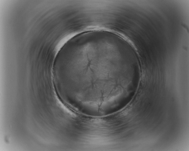 X0000099451239200805161014