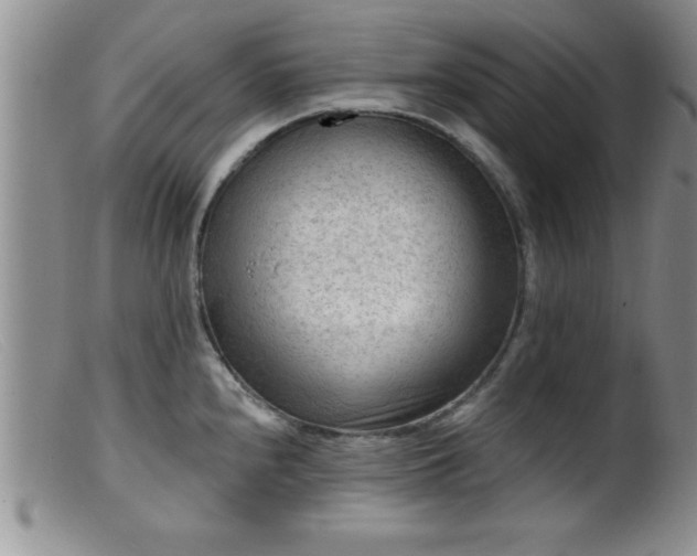 X0000099451240200805161014