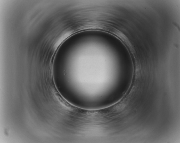 X0000099451242200805161014