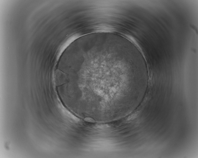 X0000099451243200805161014