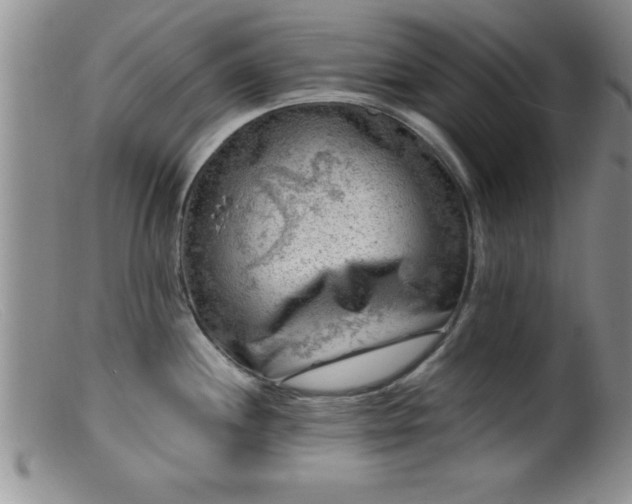 X0000099451244200805161014