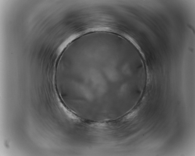 X0000099451245200805161014