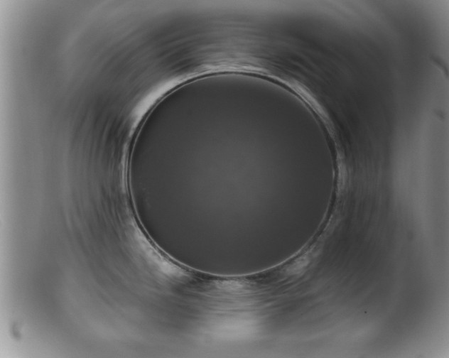 X0000099451246200805161014