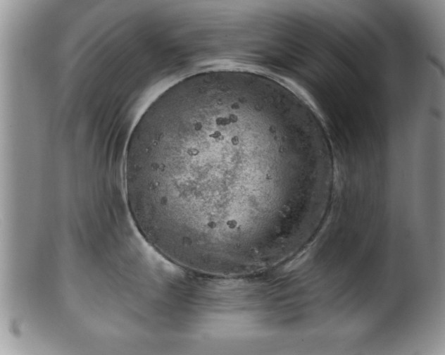 X0000099451247200805161014
