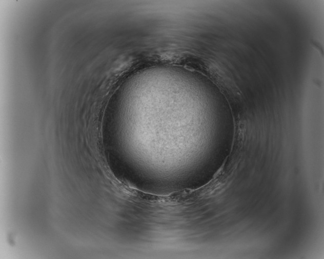 X0000099451249200805161014