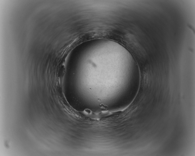 X0000099451250200805161014