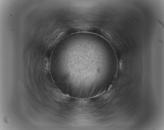 X0000099451251200805161014