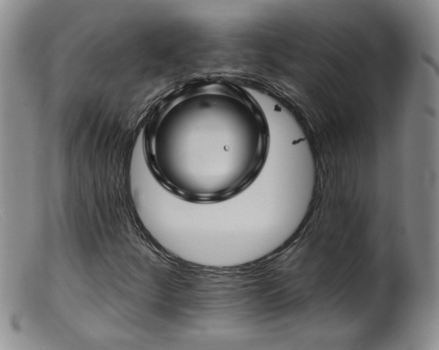 X0000099451252200805161014