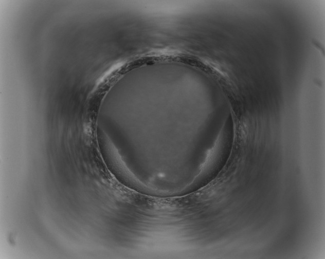 X0000099451254200805161014
