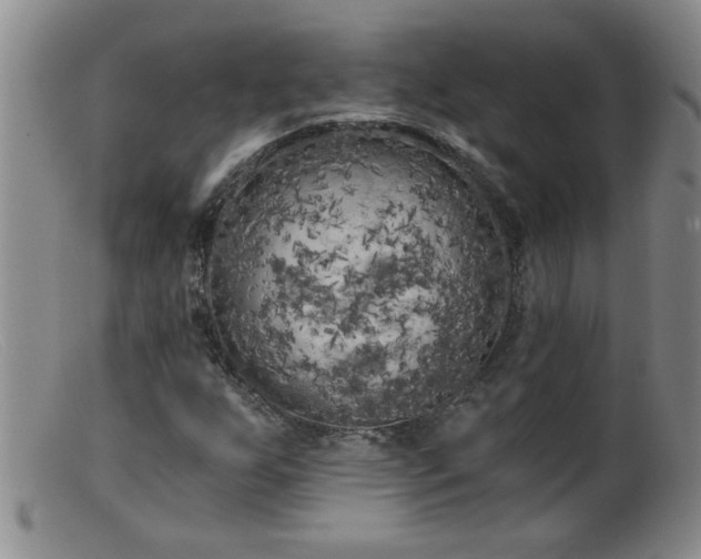 X0000099451255200805161014
