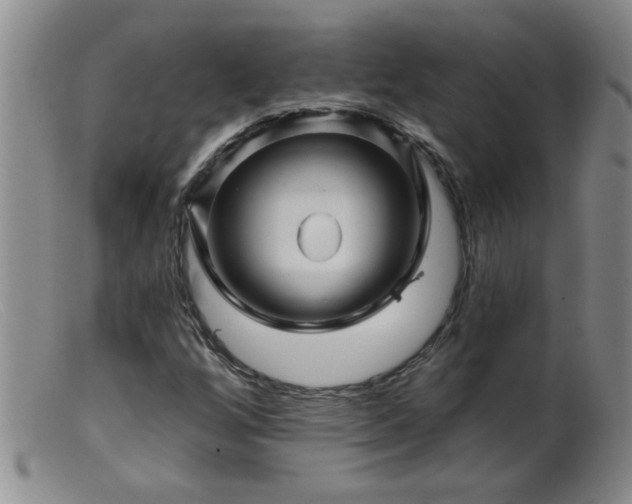 X0000099451256200805161014