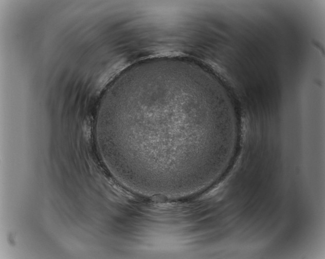 X0000099451257200805161014