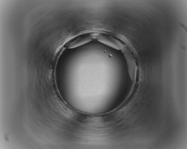 X0000099451260200805161013