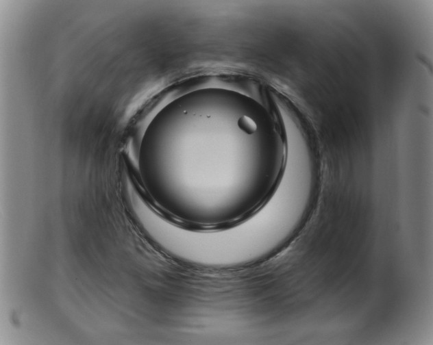 X0000099451261200805161013