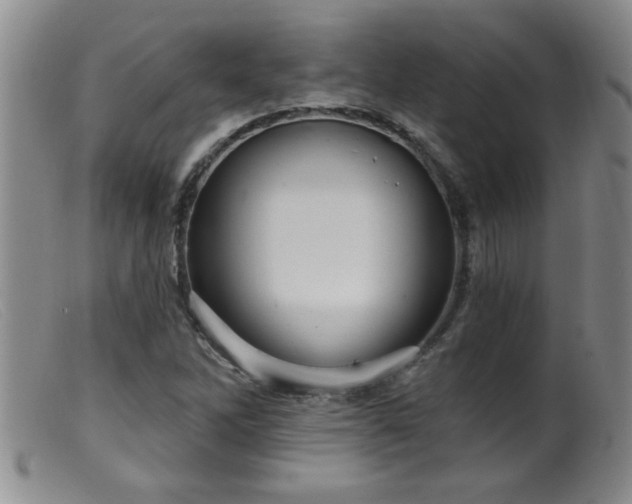 X0000099451262200805161013