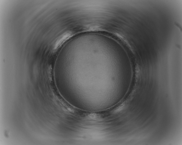 X0000099451265200805161013
