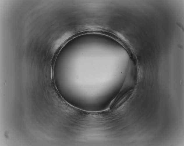 X0000099451269200805161013
