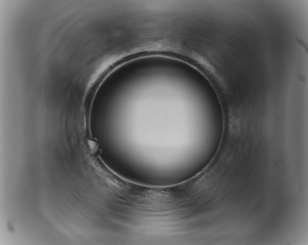 X0000099451270200805161013