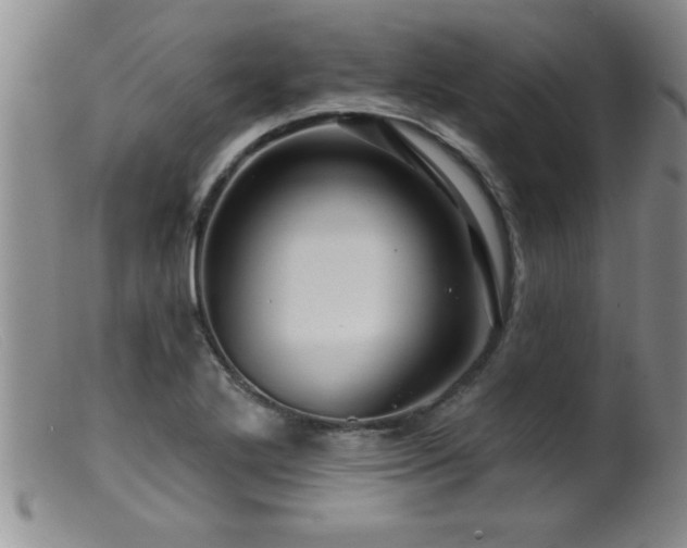 X0000099451272200805161013