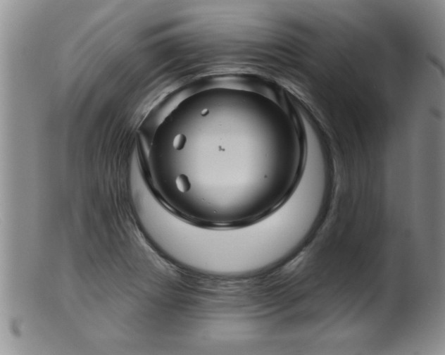 X0000099451273200805161013