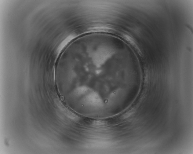 X0000099451275200805161013
