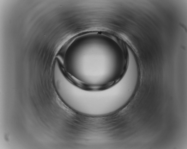 X0000099451276200805161013