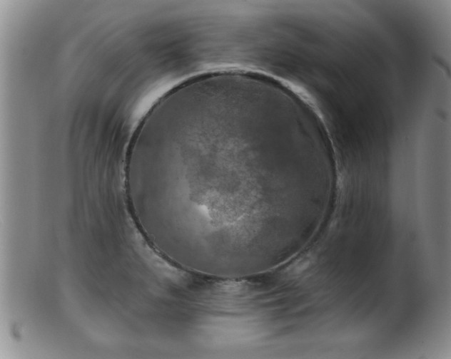 X0000099451279200805161013