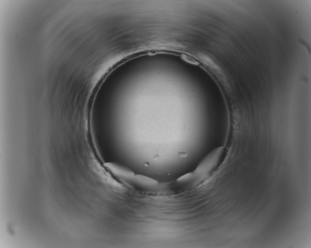 X0000099451280200805161013