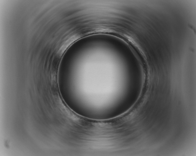 X0000099451281200805161013